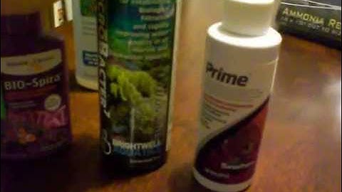 AMMONIA SPIKE IN MY REEF TANK.