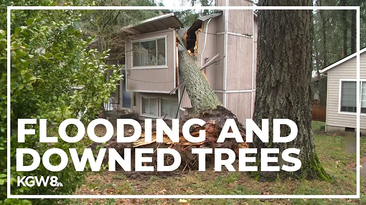 Wind and heavy rain bring power outages, flooding to the Portland area