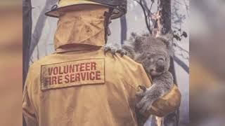 Australia Brush Fires 2019 480 Million Animals Dead
