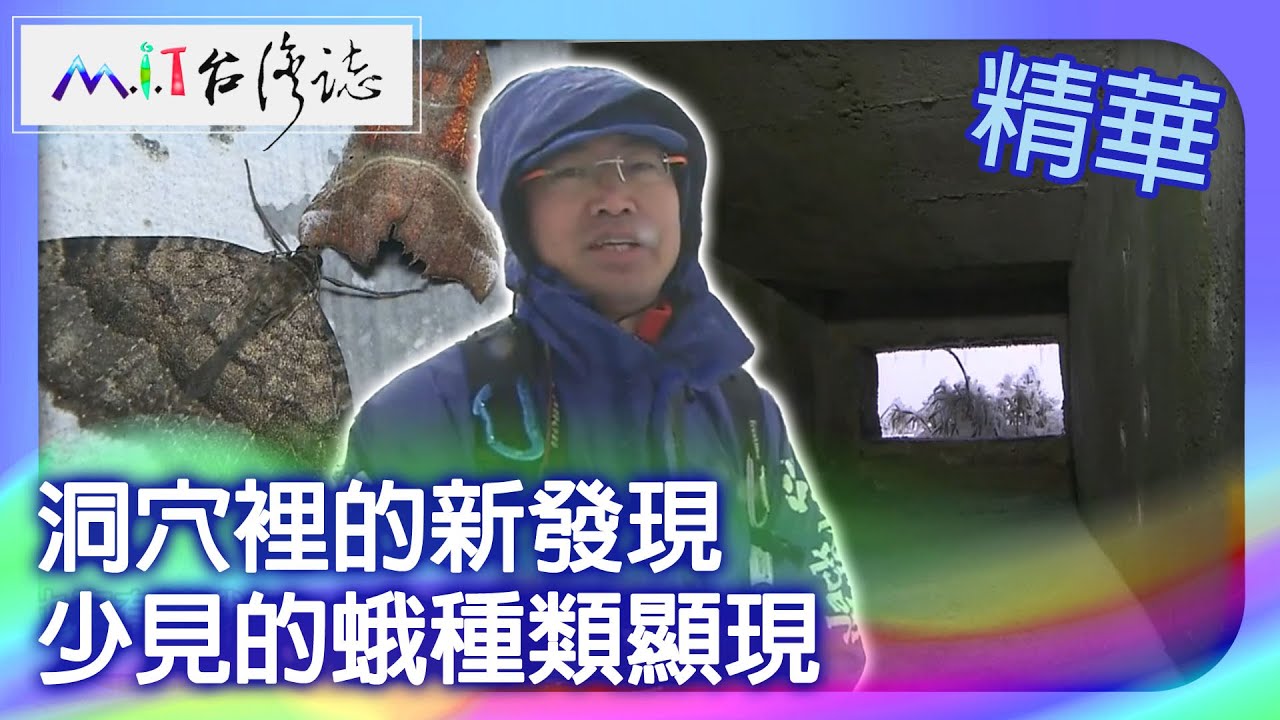 洞穴裡的新發現　少見的蛾種類顯現｜南投縣  麥覺明【 ‪‪‪‪ ‪‪‪‪‪‪‪‪‪‪‪‪‪‪‪‪‪‪‪‪‪‪‪‪‪‪‪‪ ‪‪‪@ctvmit  509集】