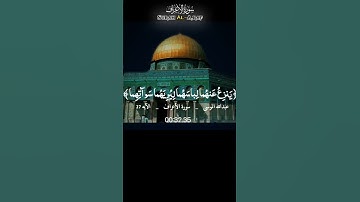 القارئ: عبد الله الموسى 🍃 أرح سمعك 🥀حالات واتس آب ♻️