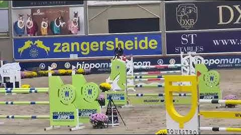 251017d  Spider first indor training