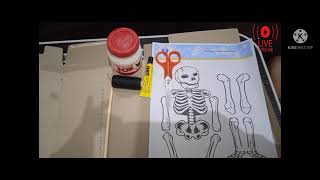 Cara membuat rangka manusia menggunakan kardus