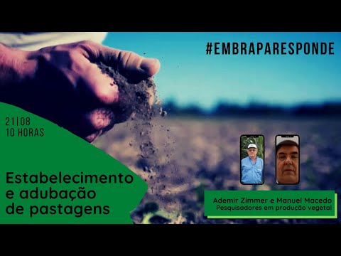 #EmbrapaResponde | Estabelecimento e adubação de pastagens