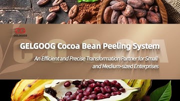 Gelgoog Cocoa Bean Peeling System for Small and Medium Size Enterprises