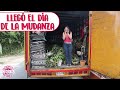 Así es mudarse con más de 300 PLANTAS │Candy Bu