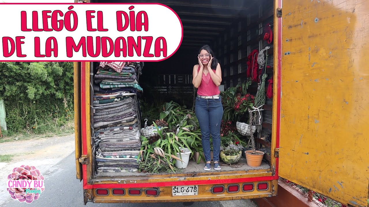 Así es mudarse con más de 300 PLANTAS │Candy Bu