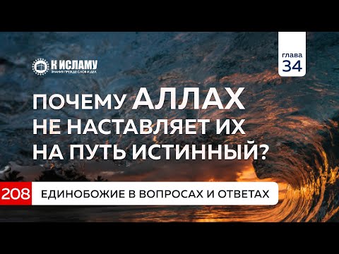 Вопрос 208. Почему Аллах не наставляет их на путь истинный? Единобожие в вопросах и ответах