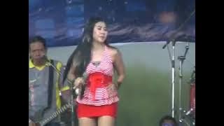 PANTURA GASONG GOYANG OPLOSAN NORMA SILVIA