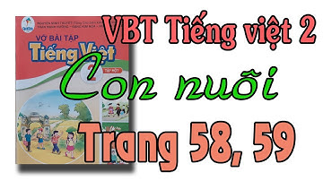 Vở bài tập tiếng việt lớp 2 sách cánh diều tập 1 trang 58, 59| Con nuôi