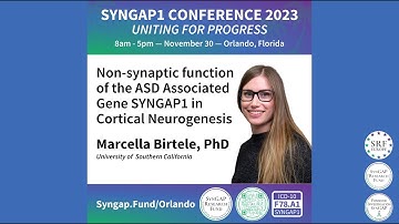 Non-synaptic function of the ASD Associated Gene SYNGAP1 - MARCELLA BIRTELE, PhD
