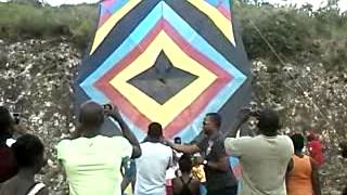 Biggest kite in jamaica