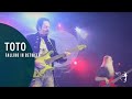 Toto - Falling in Between (From "Falling in Between Live")