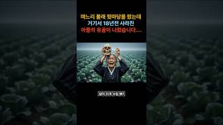 며느리 몰래 뒷마당을 팠는데 거기서 18년전 사라진 아들의 유골이 나왔습니다....  #오디오북 #라디오사연