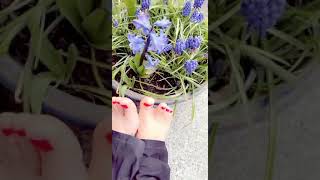 Chubby Feet , My 1St Pedi After The Surgery , I Barely Could Bend Over Lol