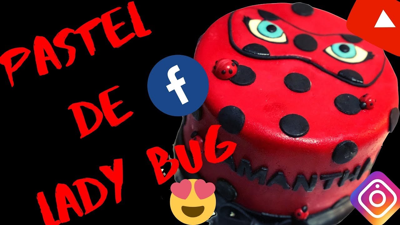 Pastel de Lady Bug sabor a chocolate.