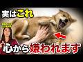 【実は逆効果】犬に嫌われる飼い主の悪習慣7選