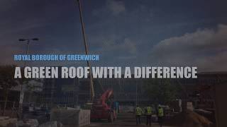 A Green Roof making a difference in Greenwich London - 1