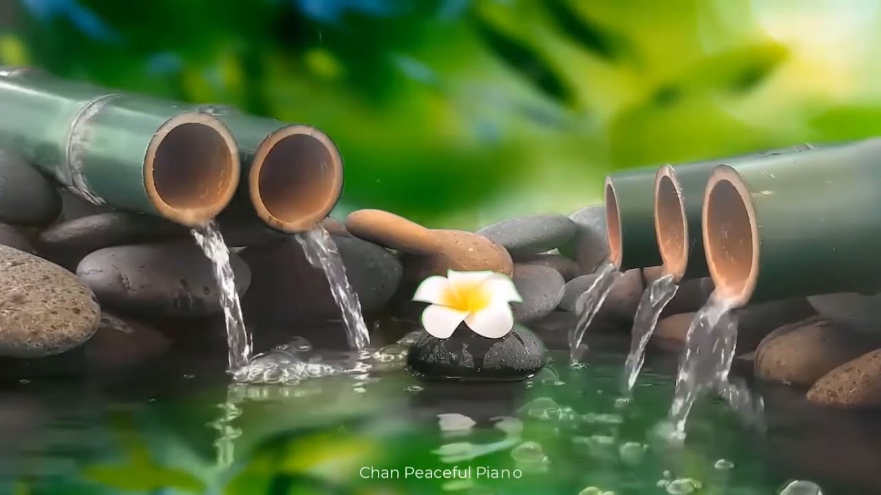 Listen to relax, relieve stress and change your personality instantly with the sound of water adlı videoyu YouTube'da izle Listen to relax, relieve stress and change your personality instantly with the sound of water adlı videoyu YouTube'da izle