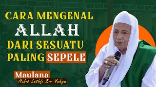 DAWUH HABIB LUTHFI BIN YAHYA CARA MENGENAL ALLAH DARI HAL KECIL