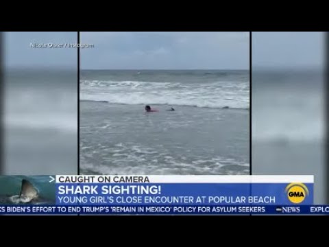 Watch: Girl, 11, frightened from surf by approaching shark