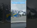 Snowfall In Kashmir❤️#muskurateraho #shorts#kashmir #youtubeshorts #viral #subscribe #love #snowfall