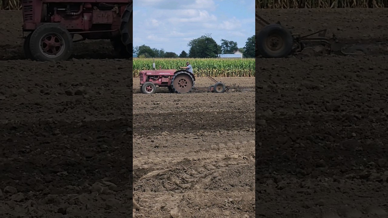 Internationals at Brown Family Farm Market Plow Day in Ross, Ohio Pt. 3