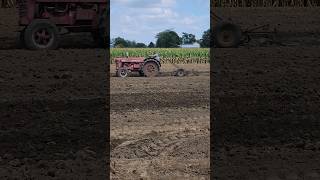 Famous Internationals at Brown Family Farm Market Plow Day in Ross, Ohio Pt. 3 #subscribe Wealth