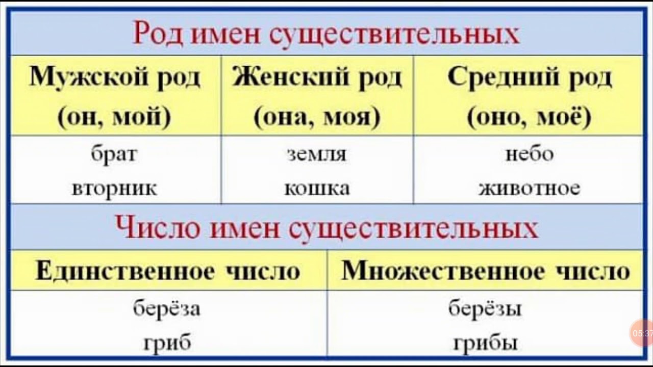 Какого рода бывают существительные привести примеры. Род имен существительных и число имен существительных. Определение числа и рода имен существительных. Как определить род имен существительных 4 класс. Имя существительное в русском языке роды.
