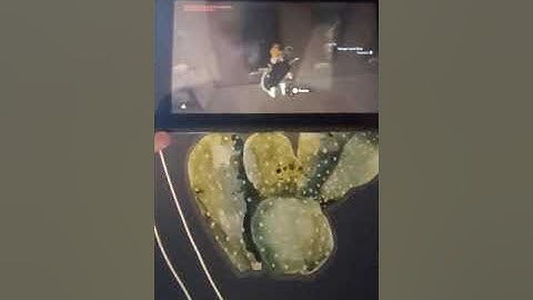 How to overload your menu in BotW (I did this on Master Mode)