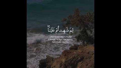 مشاري الراشد|سورة41:فصلت/آيات20_21|(شَهِدَ عَلَيْهِمْ سَمْعُهُمْ وَأَبْصَارُهُمْ وَجُلُودُهُمْ)