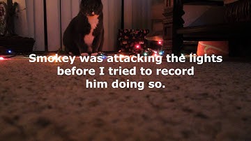 Upload #3 - Thanksgiving & Whatnot