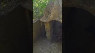 bushcraft camping shelter|short shortsfeed shortvideo