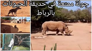 جولة رائعة في حديقة الحيونات بالرباط|jardin zoologique de Rabat morocco|Hayvanat Bahçesi fas