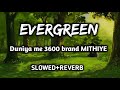 EVERGREEN Duniya Me 3600 Brand Mithiye Slowed Revereb Song EVERGREEN Duniya Me 3600 Brand Mithiye Slowed Revereb Song