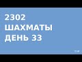 2302 - Шахматы - день 33