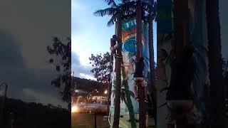 Tree climbing in five island's