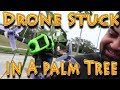 Drone Stuck in a Palm Tree!!! (05.14.2018)