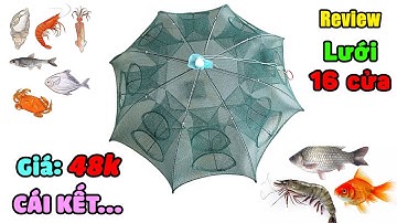 Review lồng bát quái 16 cửa bắt cá tôm cua trạch giá RẺ 48k Shopee và CÁI KẾT...
