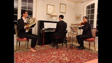 Brahms, Horn Trio, Adagio mesto