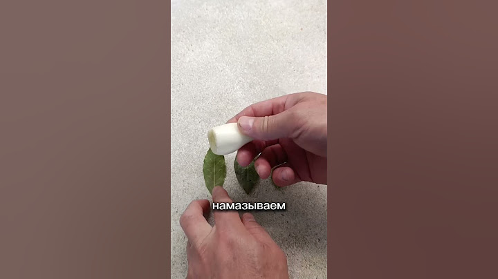 THIS IS JUST A BRILLIANT WAY! AND HERE'S WHY! #lifehack #advice #method #recipe #insects #bayleaf