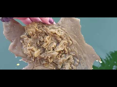 Чистила вас от крадников и стягов в итоге слился обмен - подмена и заказчики и исполнители магии.