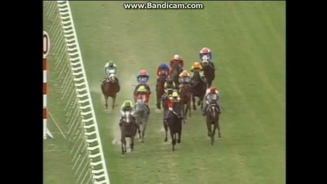 1999 天皇賞（春） スペシャルウィーク TENNO SHO(SPRING) G1 Special