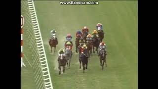 99年天皇賞春スペシャルウィーク単勝馬券現地 1999 天皇賞（春） スペシャルウィーク TENNO SHO(SPRING) G1 Special