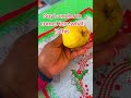 “Taste of the Islands: Jamaican Fruits #JamaicanFruits #CaribbeanFruits #IslandFresh
