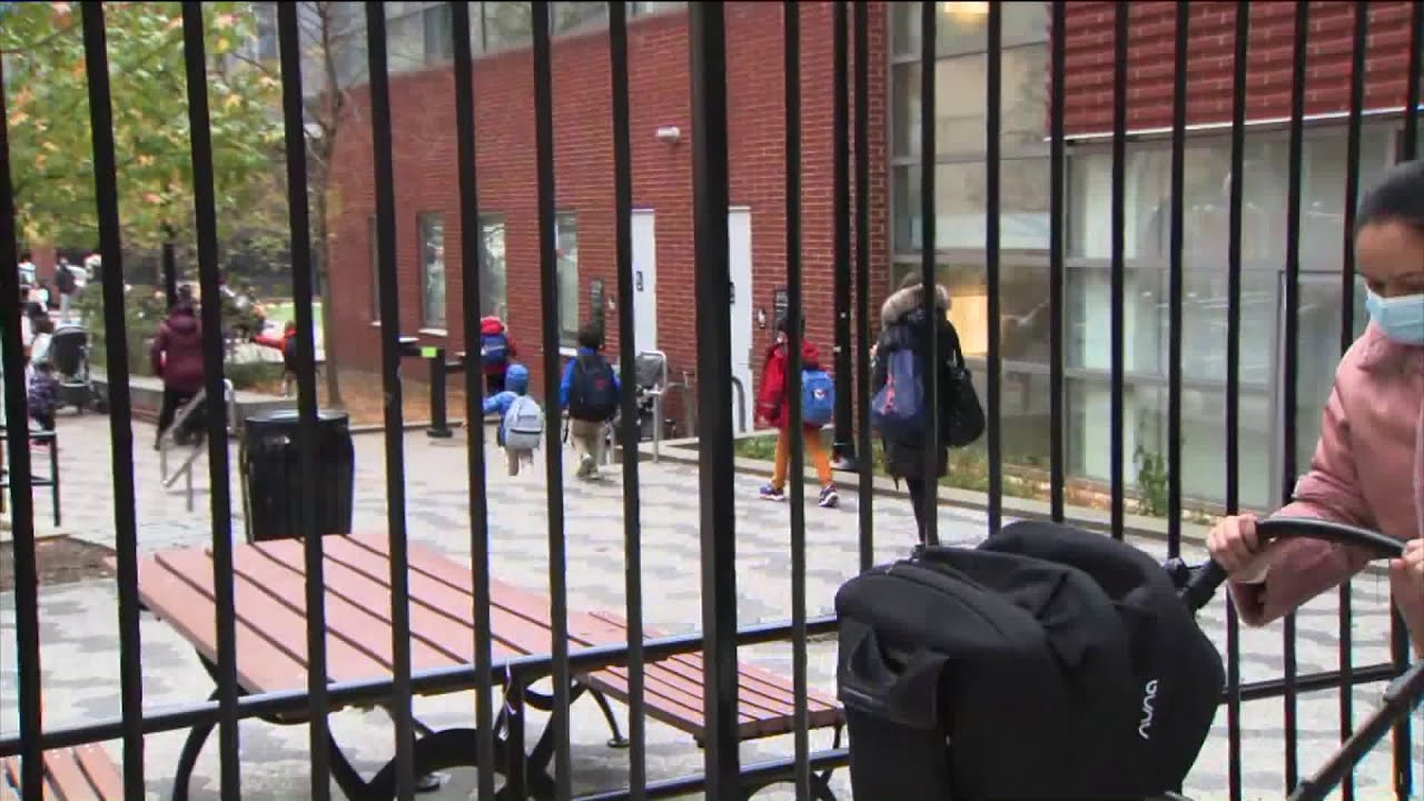 Nyc Council Hearing Schedule