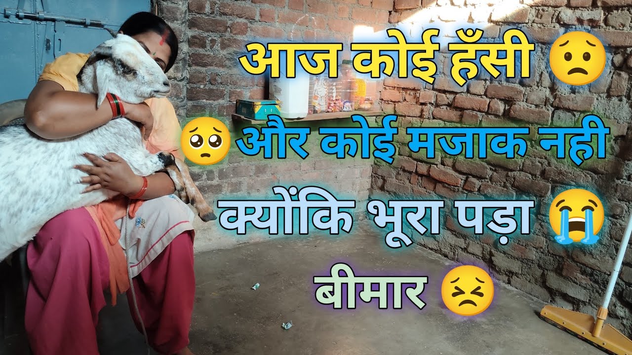 आज कोई हँसी और कोई मजाक नही क्योंकि भूरा पड़ा बीमार।।। 😢😥😭😭😭😭