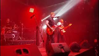 HARDWORKERS - Верные друзья (Рабочий класс) (live) Орёл ГЕРЦ 30.11.2024