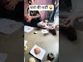 कैथा #love #youtubeshorts