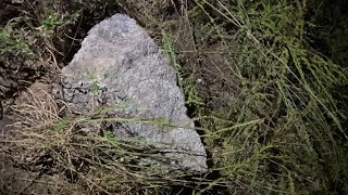Live Bigfoot Hunt After Finding Huge Gifting Rock!